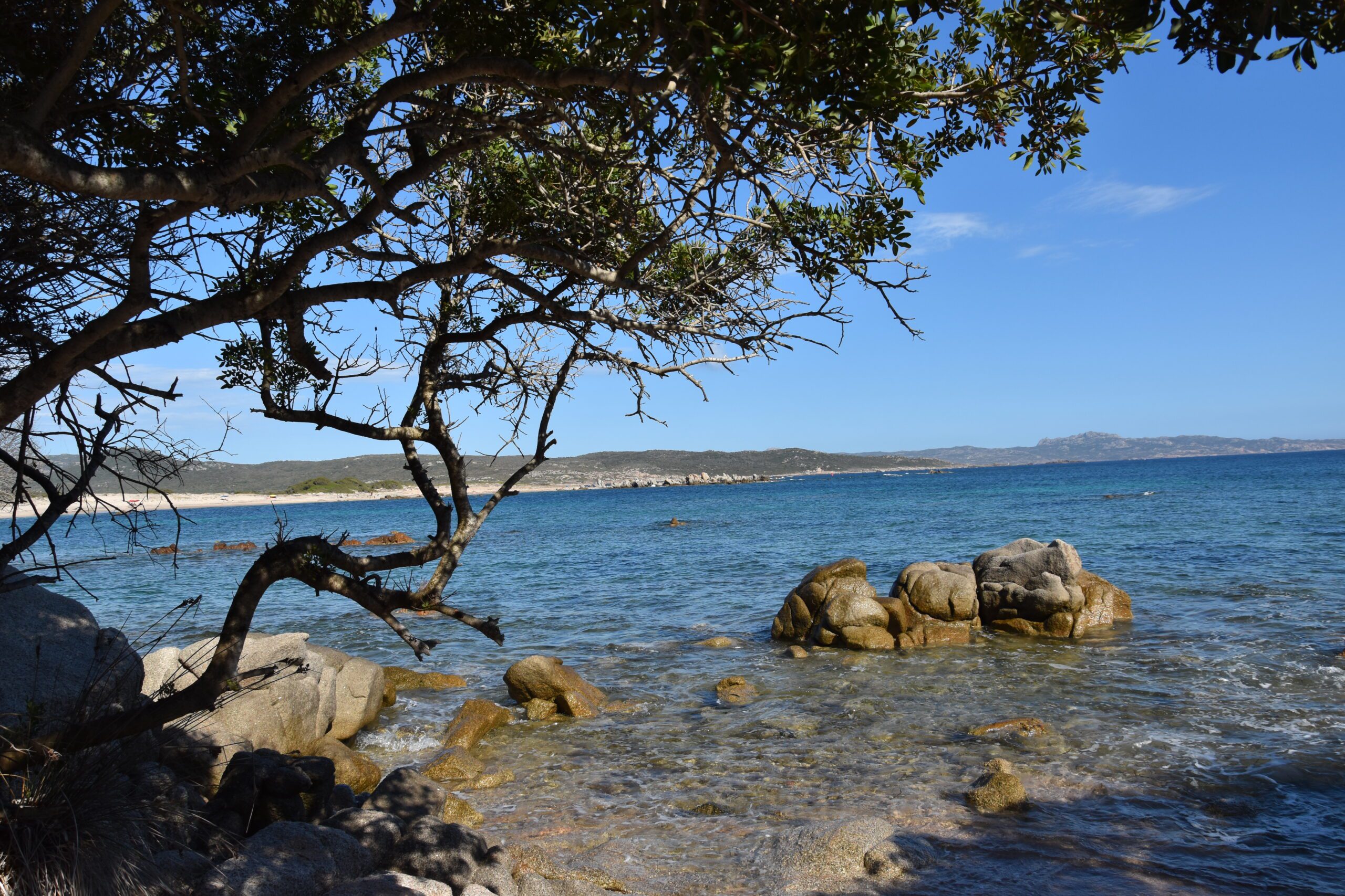 Lire la suite à propos de l’article Corse … Terre d’émotions